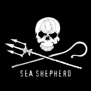 sea sheperd